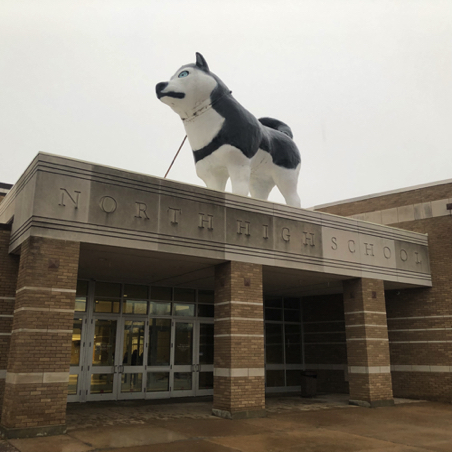 Husky Dog Welcomes Everyone.jpg